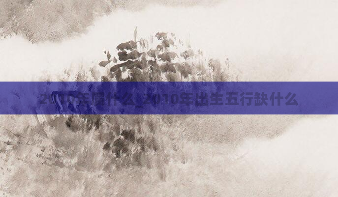 2010年属什么_2010年出生五行缺什么