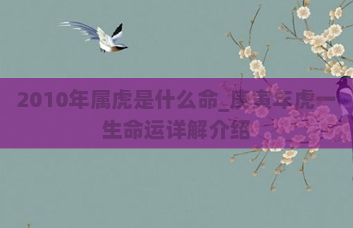 2010年属虎是什么命_庚寅年虎一生命运详解介绍