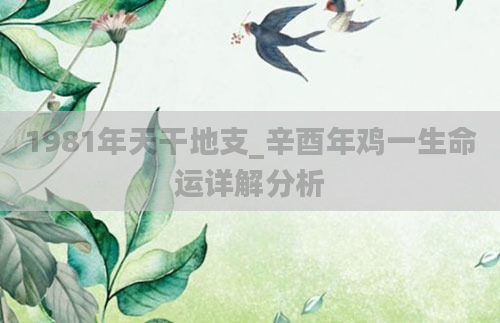1981年天干地支_辛酉年鸡一生命运详解分析