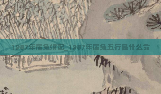 1987年属兔婚配_1987年属兔五行是什么命