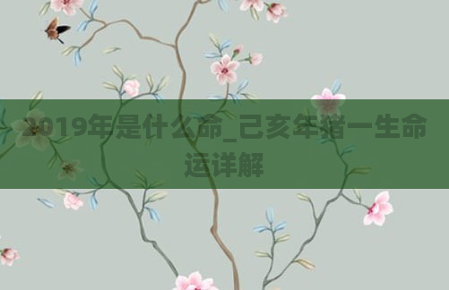 2019年是什么命_己亥年猪一生命运详解