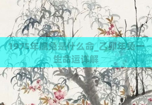 1975年属兔是什么命_乙卯年兔一生命运详解
