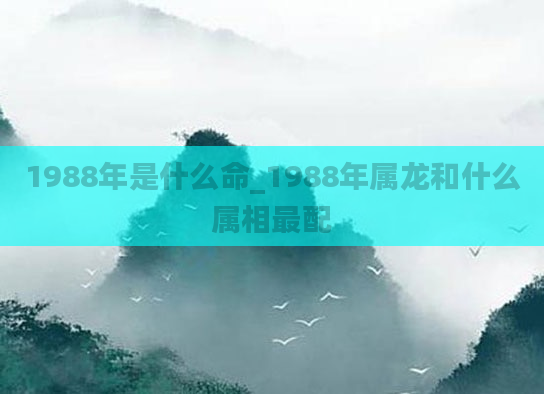 1988年是什么命_1988年属龙和什么属相最配