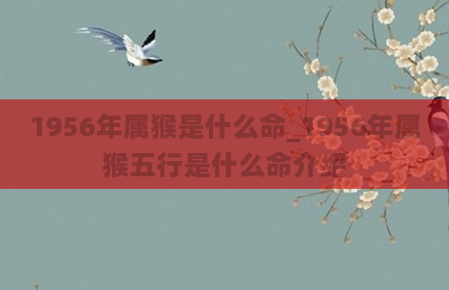 1956年属猴是什么命_1956年属猴五行是什么命介绍
