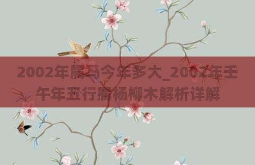 2002年属马今年多大_2002年壬午年五行属杨柳木解析详解