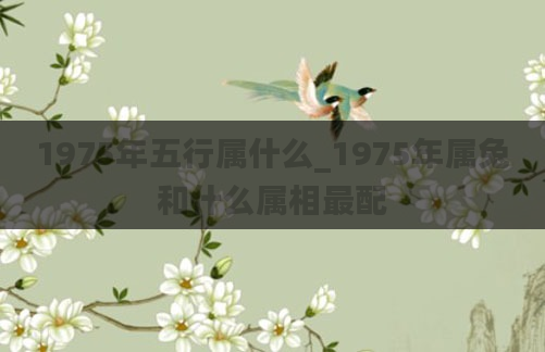 1975年五行属什么_1975年属兔和什么属相最配