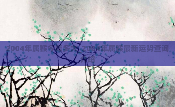2004年属猴今年多大_2004年属猴最新运势查询介绍