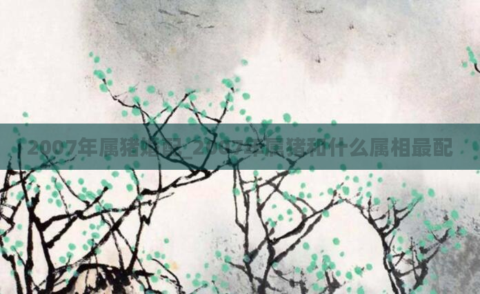 2007年属猪婚配_2007年属猪和什么属相最配