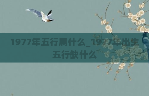 1977年五行属什么_1977年出生五行缺什么
