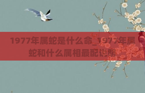 1977年属蛇是什么命_1977年属蛇和什么属相最配说明