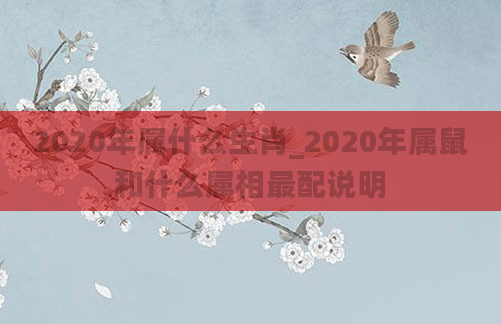 2020年属什么生肖_2020年属鼠和什么属相最配说明