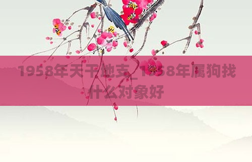 1958年天干地支_1958年属狗找什么对象好