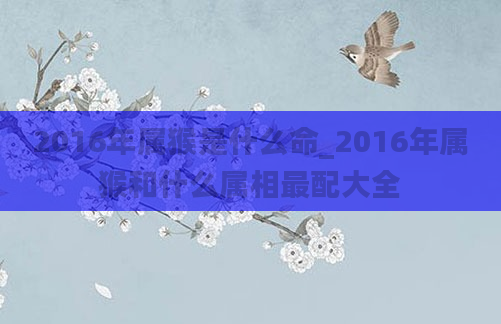 2016年属猴是什么命_2016年属猴和什么属相最配大全