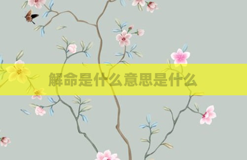 解命是什么意思是什么