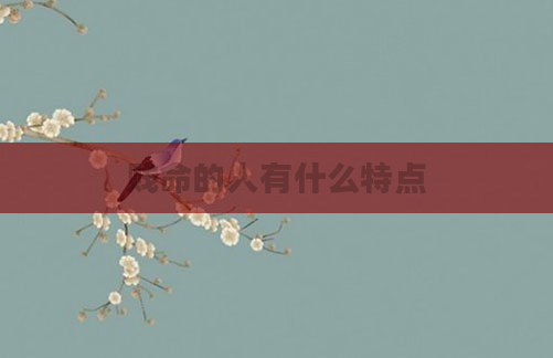 贱命的人有什么特点