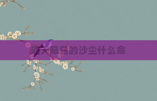 遮天蔽日的沙尘什么命