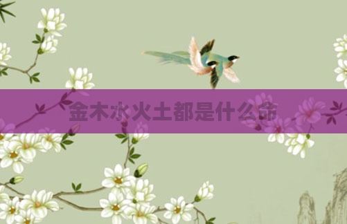 金木水火土都是什么命