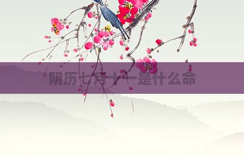 阴历七月十一是什么命