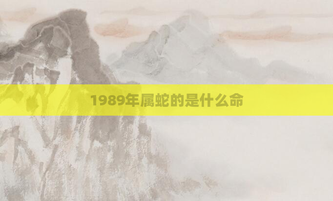 1989年属蛇的是什么命