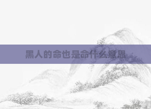黑人的命也是命什么意思