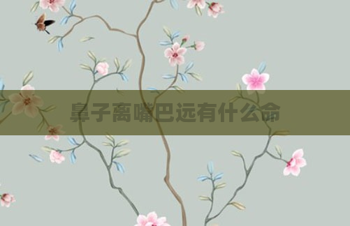 鼻子离嘴巴远有什么命