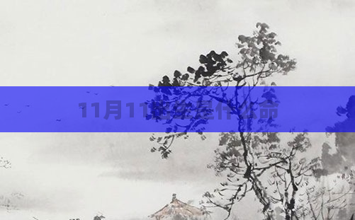 11月11出生是什么命