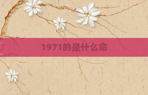 1971的是什么命