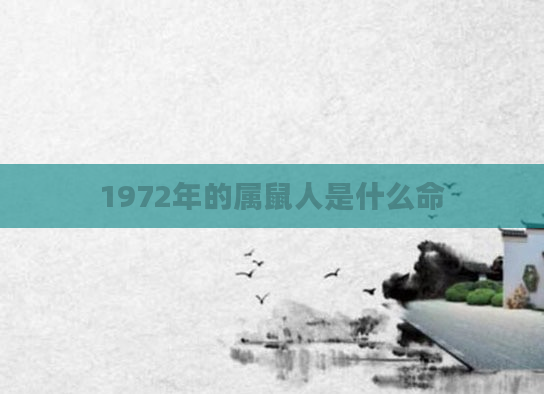 1972年的属鼠人是什么命