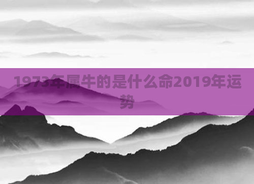 1973年属牛的是什么命2019年运势