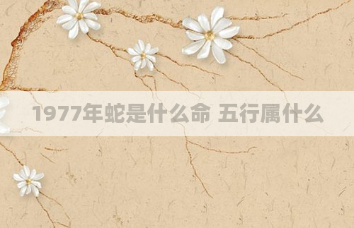 1977年蛇是什么命 五行属什么