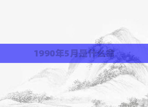 1990年5月是什么命