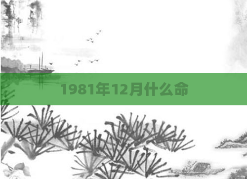 1981年12月什么命