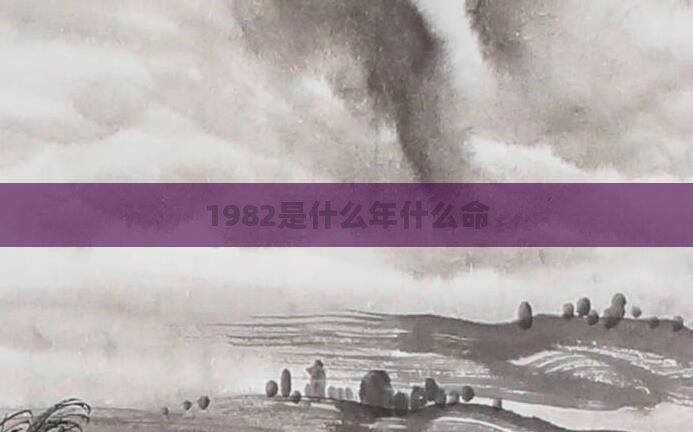 1982是什么年什么命
