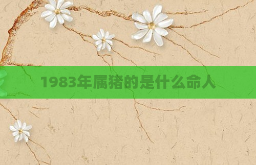 1983年属猪的是什么命人