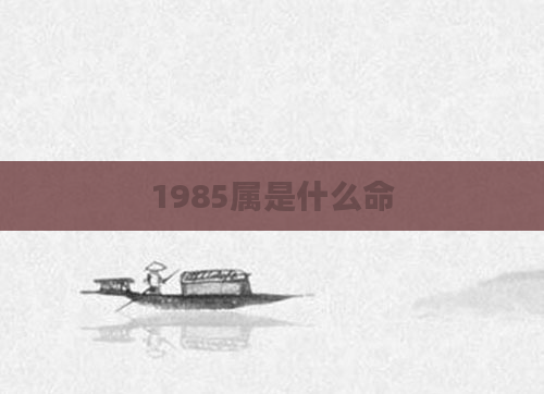 1985属是什么命