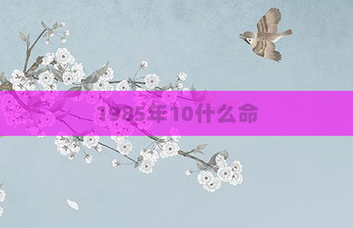 1985年10什么命