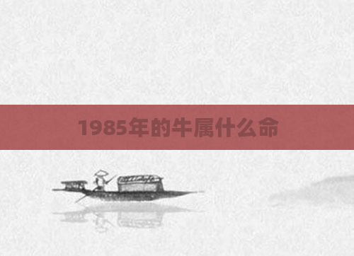 1985年的牛属什么命