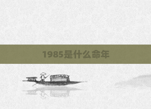 1985是什么命年