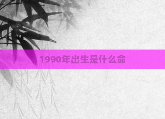 1990年出生是什么命