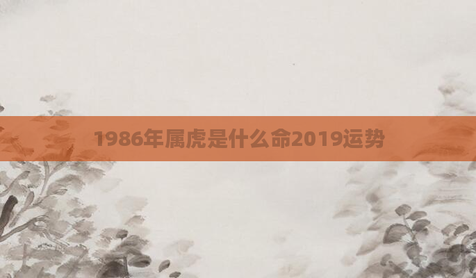 1986年属虎是什么命2019运势