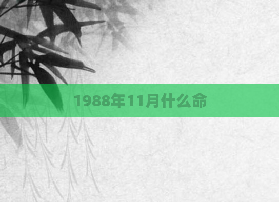 1988年11月什么命
