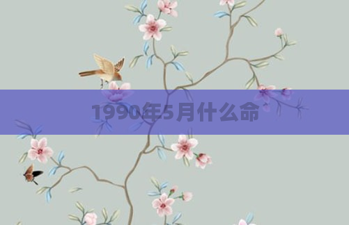 1990年5月什么命
