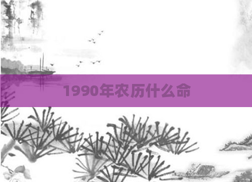 1990年农历什么命
