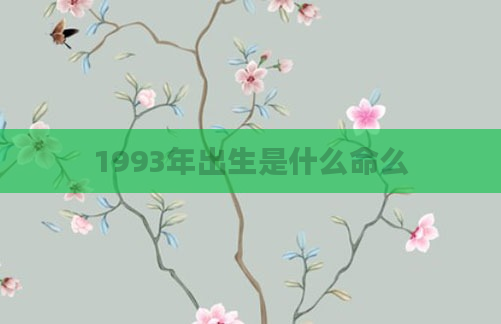 1993年出生是什么命么