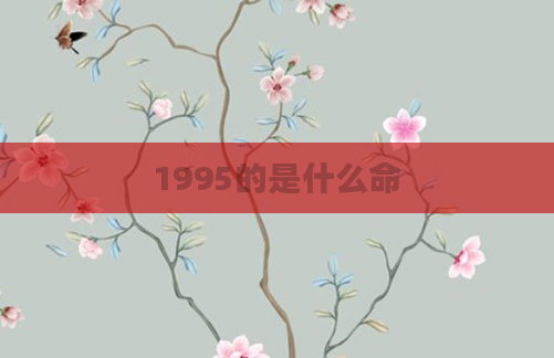 1995的是什么命