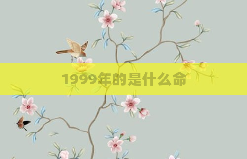1999年的是什么命