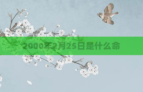 2000年2月25日是什么命
