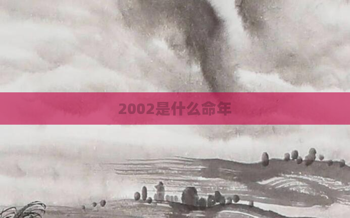 2002是什么命年