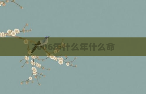 2006年什么年什么命