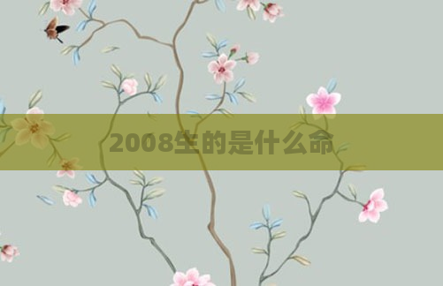 2008生的是什么命